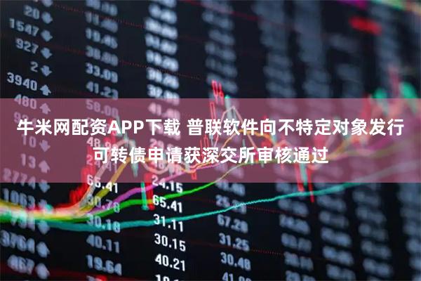 牛米网配资APP下载 普联软件向不特定对象发行可转债申请获深交所审核通过