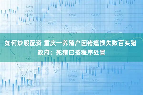 如何炒股配资 重庆一养殖户因猪瘟损失数百头猪 政府：死猪已按程序处置