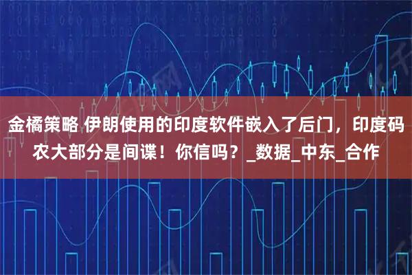 金橘策略 伊朗使用的印度软件嵌入了后门，印度码农大部分是间谍！你信吗？_数据_中东_合作